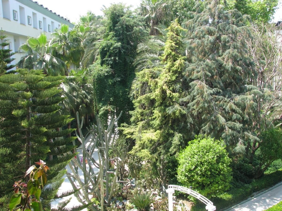 imagini hotel DELPHIN BOTANIK